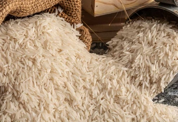 Basmati Rice-1