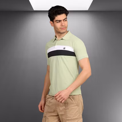 Polo T-shirts (Designer)-4
