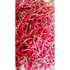 Teja S17 Red Chilli (whole,stemless,without-stem)