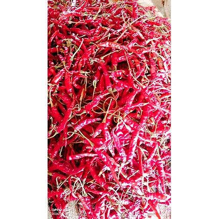Teja S17 Red Chilli (whole,stemless,without-stem)-12466329