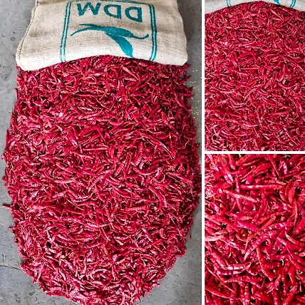 Teja S17 Red Chilli (whole,stemless,without-stem)-1