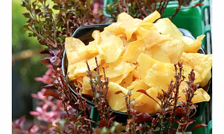 SWEET POTTATO CHIPS