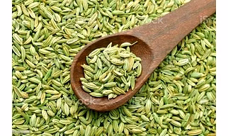 Adon Global Fresh & Natural Fennel Seeds | Saunf | Variyali | Whole Indian Spices with Authentic taste & Strong Aroma (250gm)