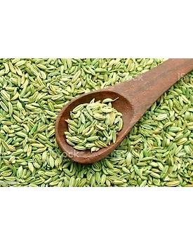 Adon Global Fresh & Natural Fennel Seeds | Saunf | Variyali | Whole Indian Spices with Authentic taste & Strong Aroma (250gm)