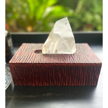 Woody Tissue Box-1