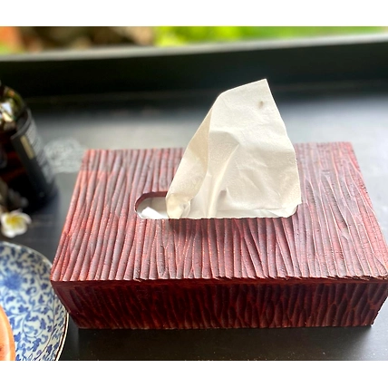 Woody Tissue Box-3