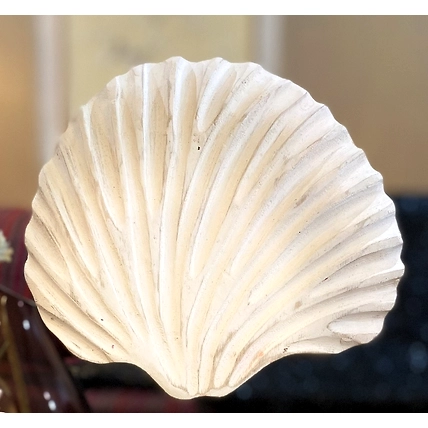 Rustic White Coral Shell Tabletop Accent-3