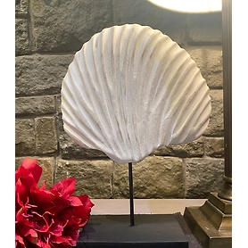 Rustic White Coral Shell Tabletop Accent