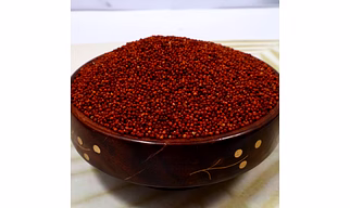 Finger Millets - Ragi (கேழ்வரகு) Healthy Millet