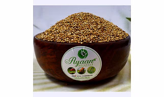 Pearl Millets - Bajra (கம்பு) Healthy Millet