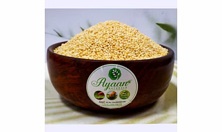 Little Millets ( சாமை ) Healthy Millet