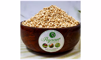 Sorghum Millets - Jowar (சோளம்) Healthy Millet