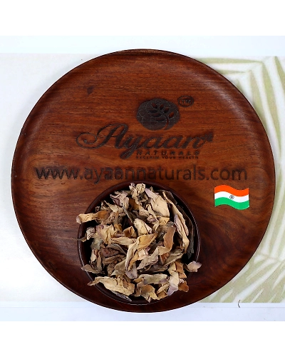 Thamarai Poo - Indian Lotus Dried Raw (தாமரை பூ) Herbal Product-1