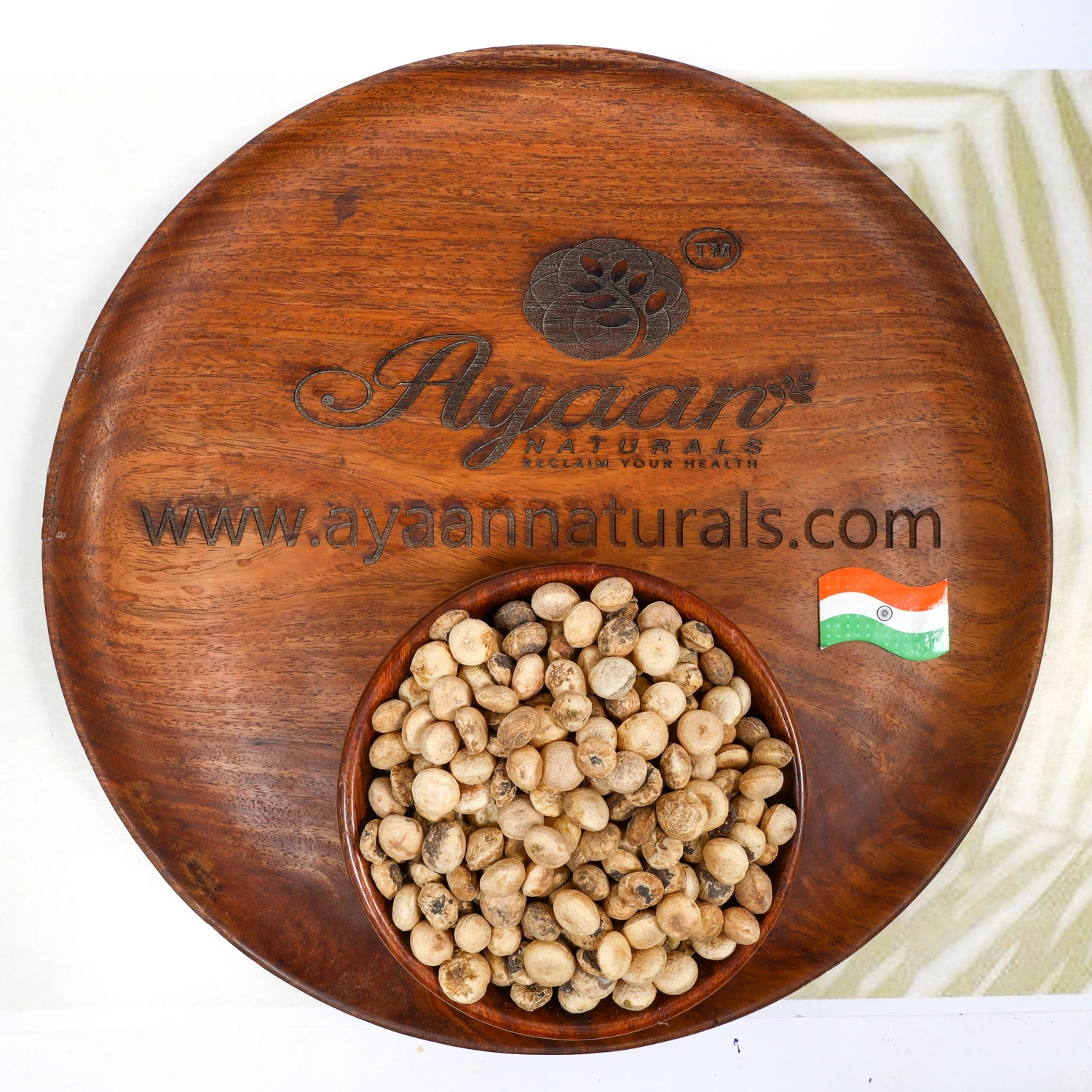 Thetran Kottai - Clearing Nut Dried Raw (தேற்றான் கொட்டை) Herbal Nuts-1