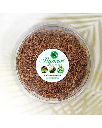 Vettiver - Coleus Vettiveroides Root RAW (வெட்டிவேர்) Herbal Roots-AN211
