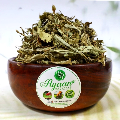 Stevia Dried Leaves | Sweet Leaf ( முழு உலர்ந்த ஸ்டீவியா இலைகள் ) Herb leaves