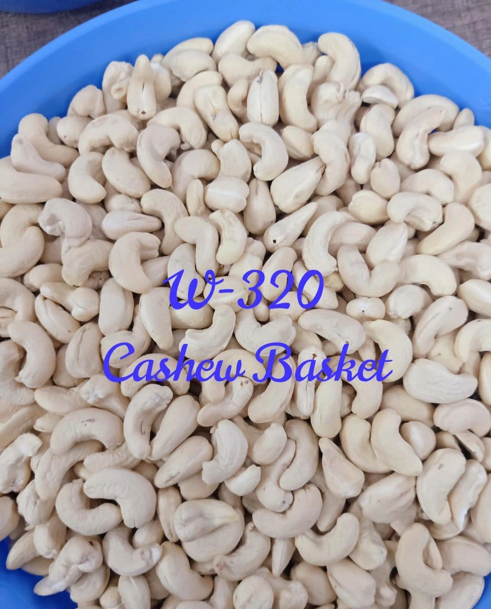 Cashew Kernels W-320-2