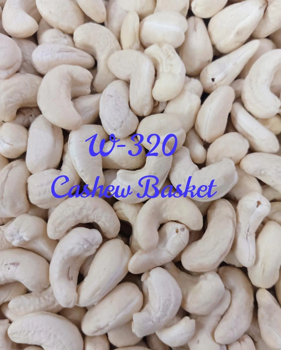 Cashew Kernels W-320-1