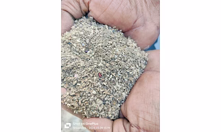 Bone Meal