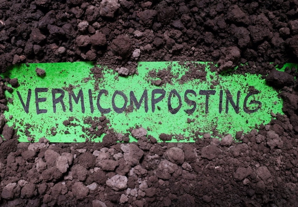 Cow Dung Vermicompost-2