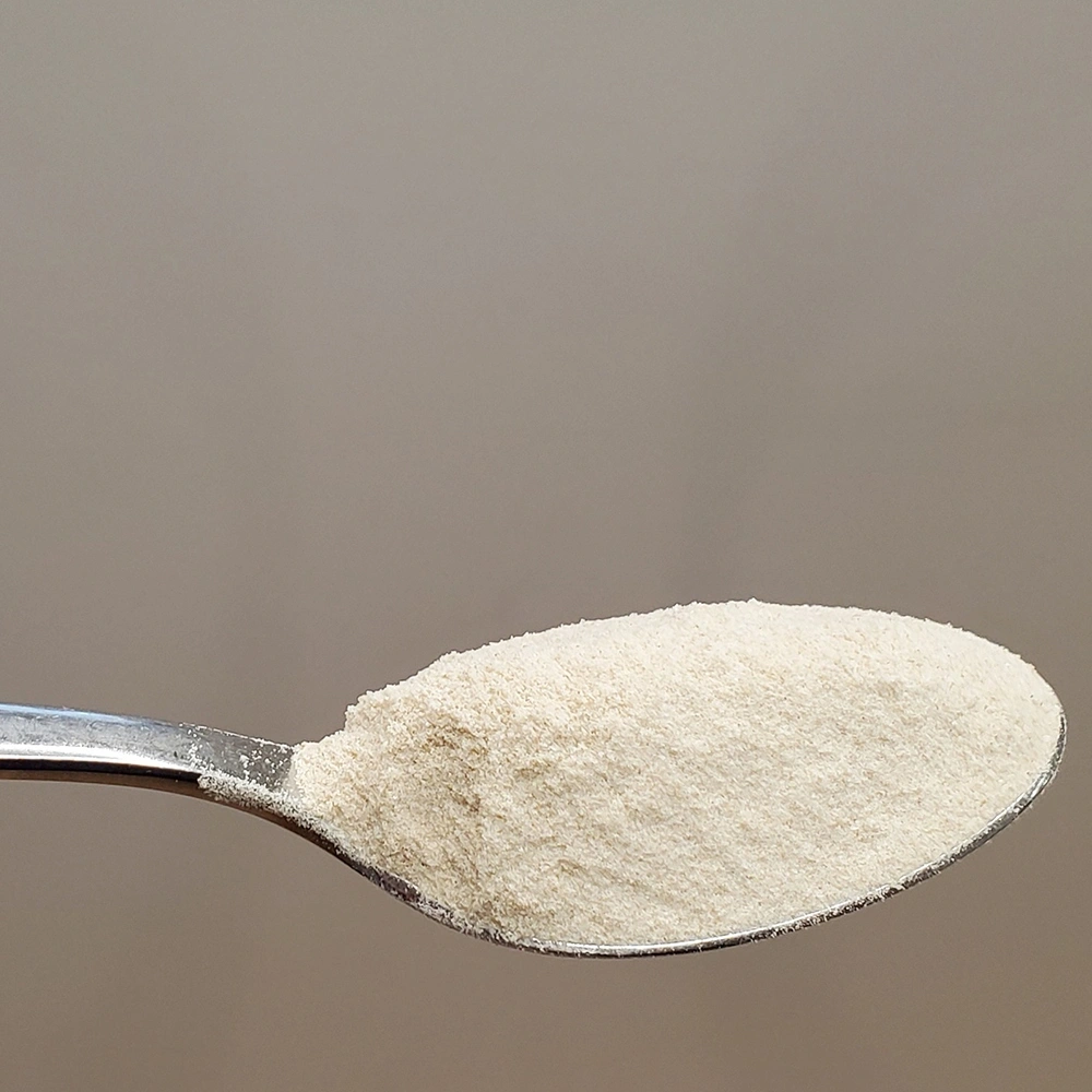 Image showing a pile of psyllium husk powder on a wooden spoon, emphasizing its natural dietary supp