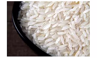 Rice