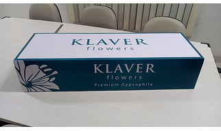 Flower Box Top Bottom