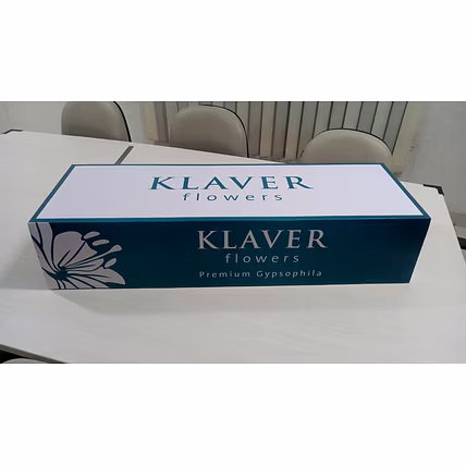 Flower Box Top Bottom-915