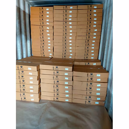 Master carton Exports-917