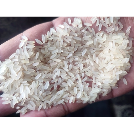 10063010-IR 64 Parboiled Rice-2