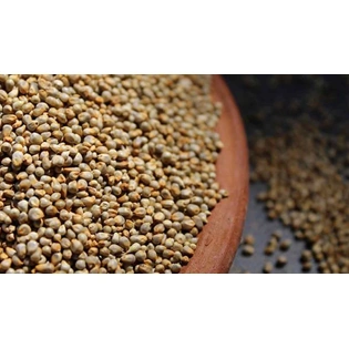 Top Quality Pearl Millet (Bajra)