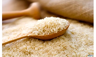 Wholly Milled Parboiled Rice