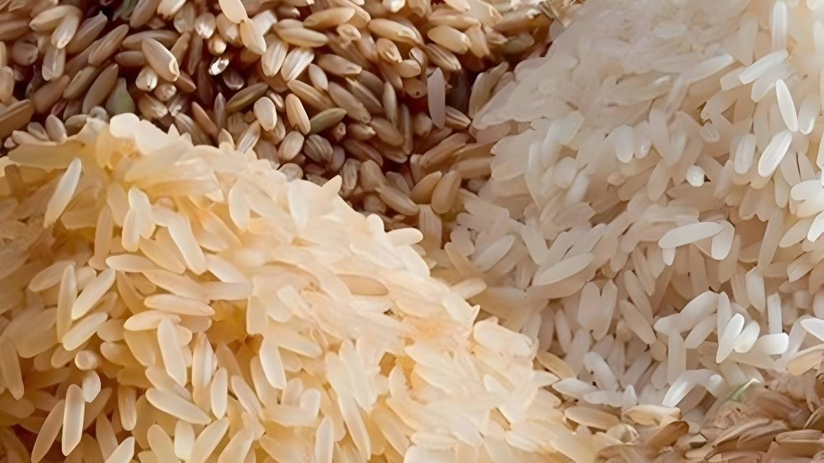 Wholly Milled Parboiled Rice-1