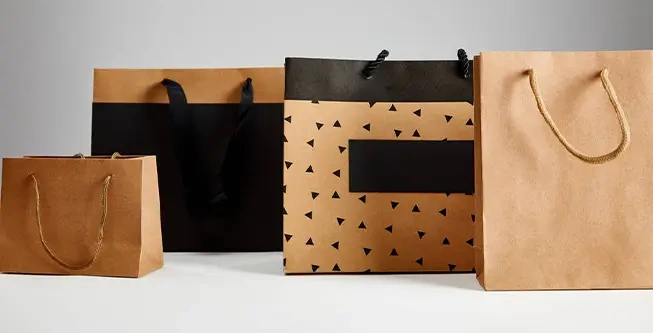 shopping paper bag-2