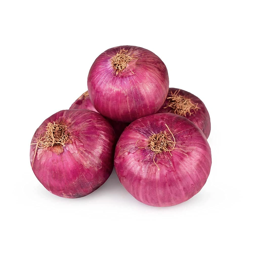 Fresh Onion - Export quality fresh Onion available from India-FRON001-01