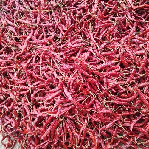 Dry Red Chilli | We export premium quality red chillies-RDCH001-01