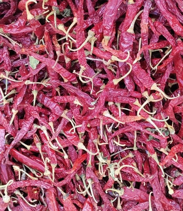 Dry Red Chilli | We export premium quality red chillies-1