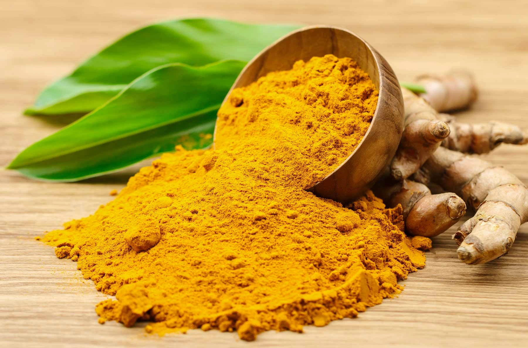 Turmeric Powder | Curcumin | Contact us to Import-1