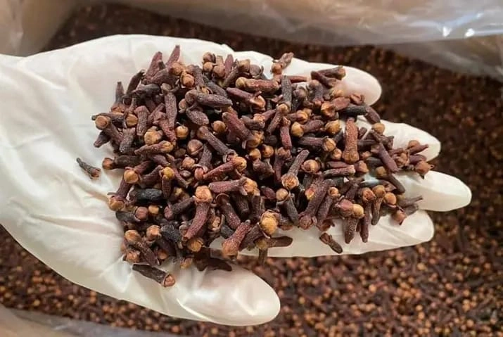 Clove seeds | Available for export-3