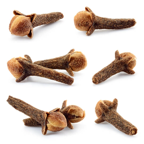 Clove seeds | Available for export-4