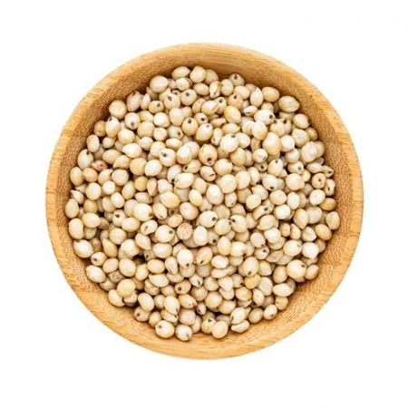 Sorghum Millet | Jowar | Export quality | Contact us to Import-4