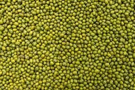 Mung Bean/Green Gram | Export quality-1