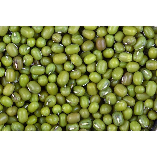 Mung Bean/Green Gram | Export quality-2