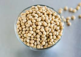 Soya Bean | export quality for immediate dispatch-2