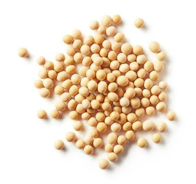 Soya Bean | export quality for immediate dispatch-1