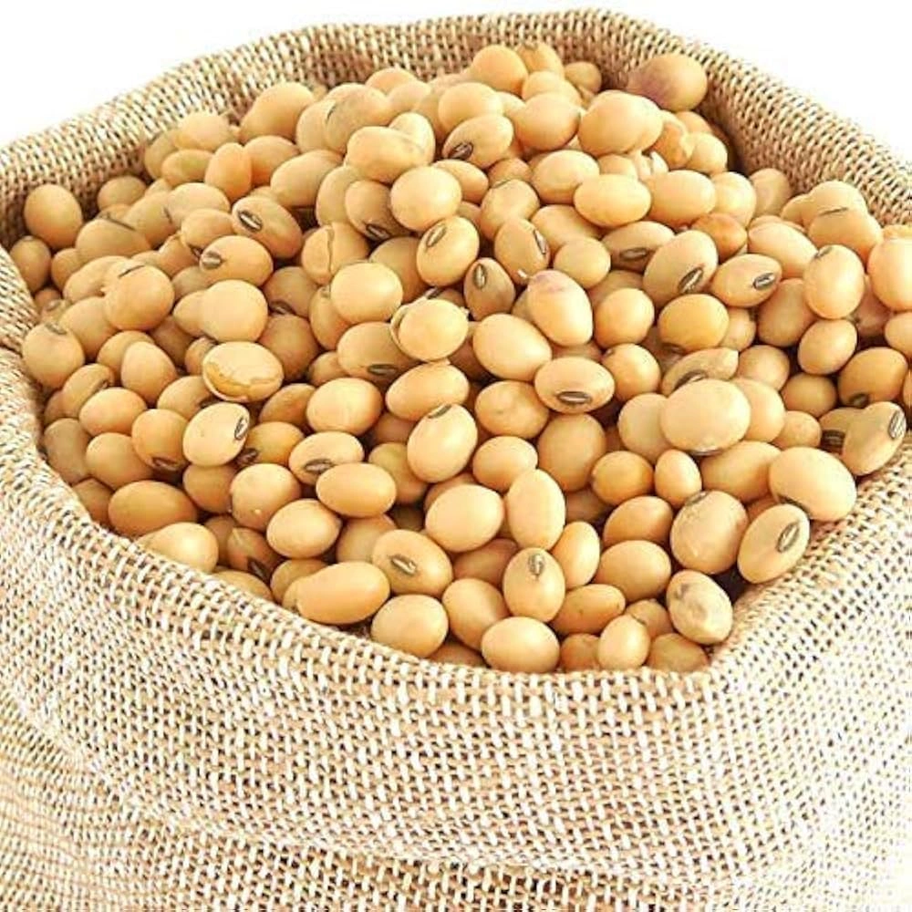 Soya Bean | export quality for immediate dispatch-3