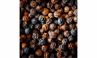 Premium Black Pepper – Bold, Aromatic & Pungent Spice from India