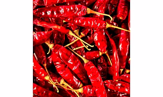 Premium Dry Red Chilli – Spicy, Flavorful, Aromatic & Intense Heat from Avivya Exports