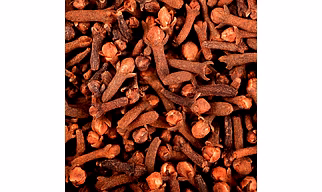 Premium Indian Clove – Aromatic & Potent Spice from Avivya Exports