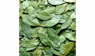 Premium Indian Bay Leaves – Aromatic & Flavorful Export Quality